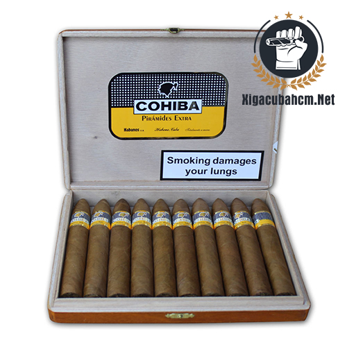 Xì gà Cohiba Piramides Extra – Hộp 10 điếu - xigacubahcm.net